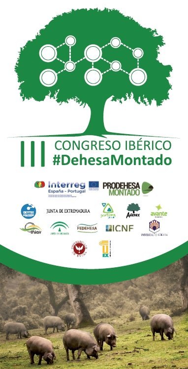 Extremadura Avante - Impulsamos las empresas de Extremadura