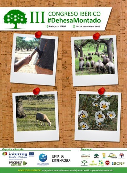 Extremadura Avante - Impulsamos las empresas de Extremadura