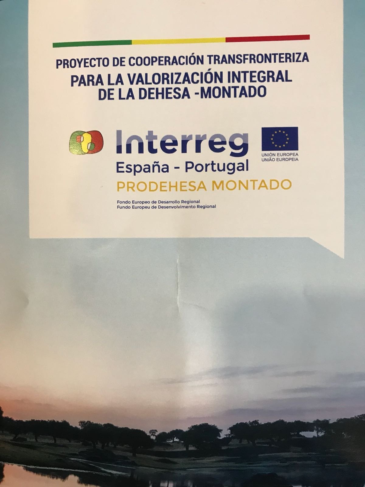 Extremadura Avante - Impulsamos las empresas de Extremadura