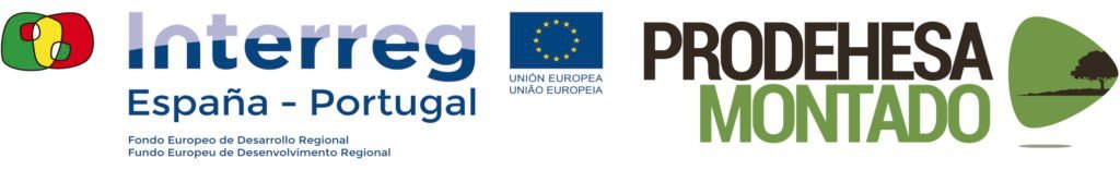 Extremadura Avante - Impulsamos las empresas de Extremadura