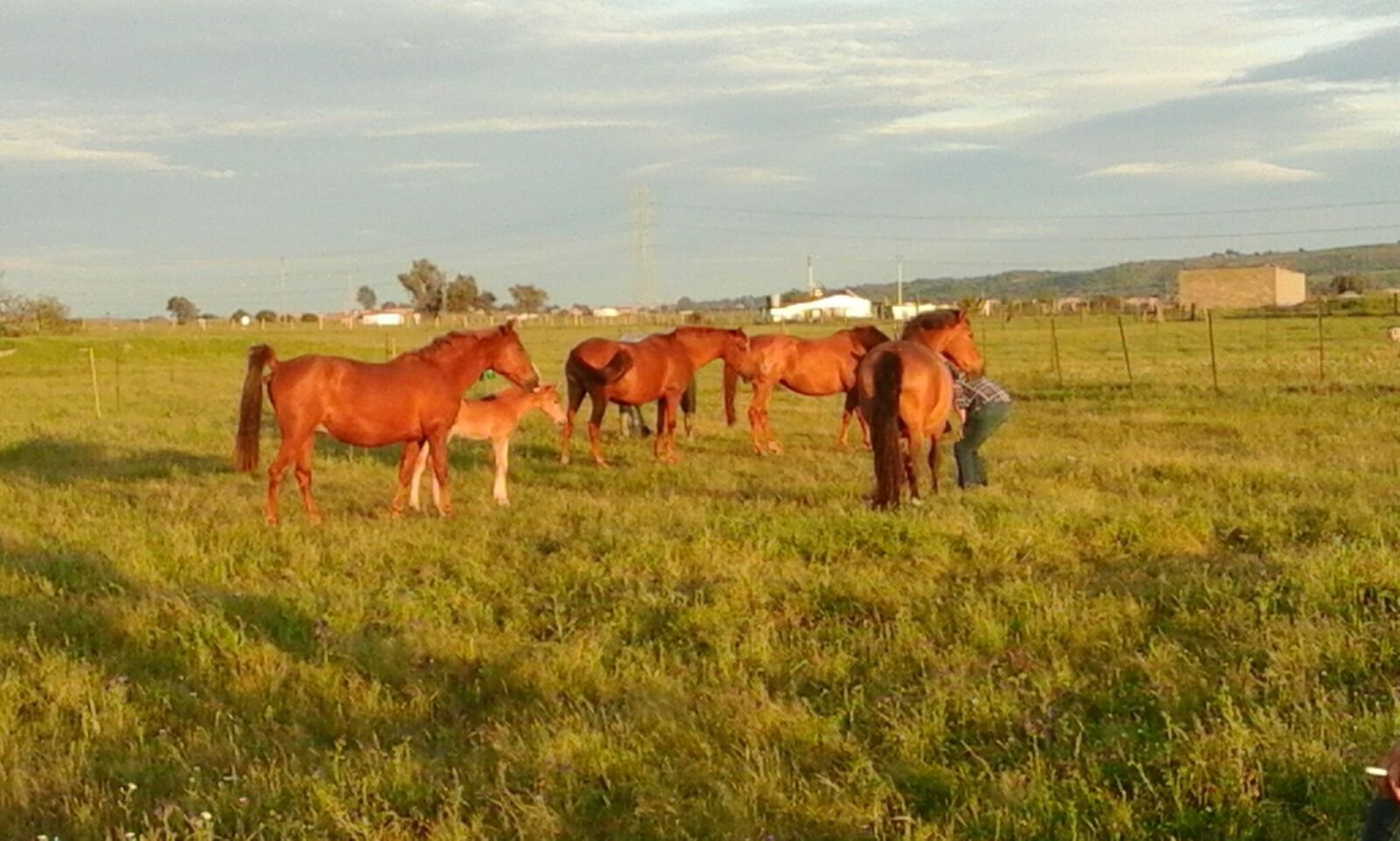 Extremadura Avante - Impulsamos las empresas de Extremadura