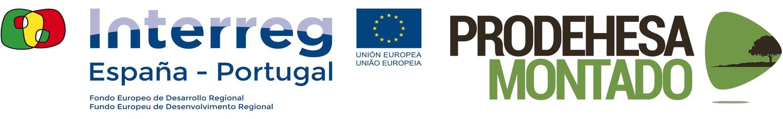 Extremadura Avante - Impulsamos las empresas de Extremadura