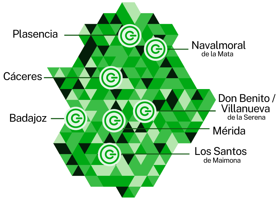 Diseño geométrico verde con íconos circulares