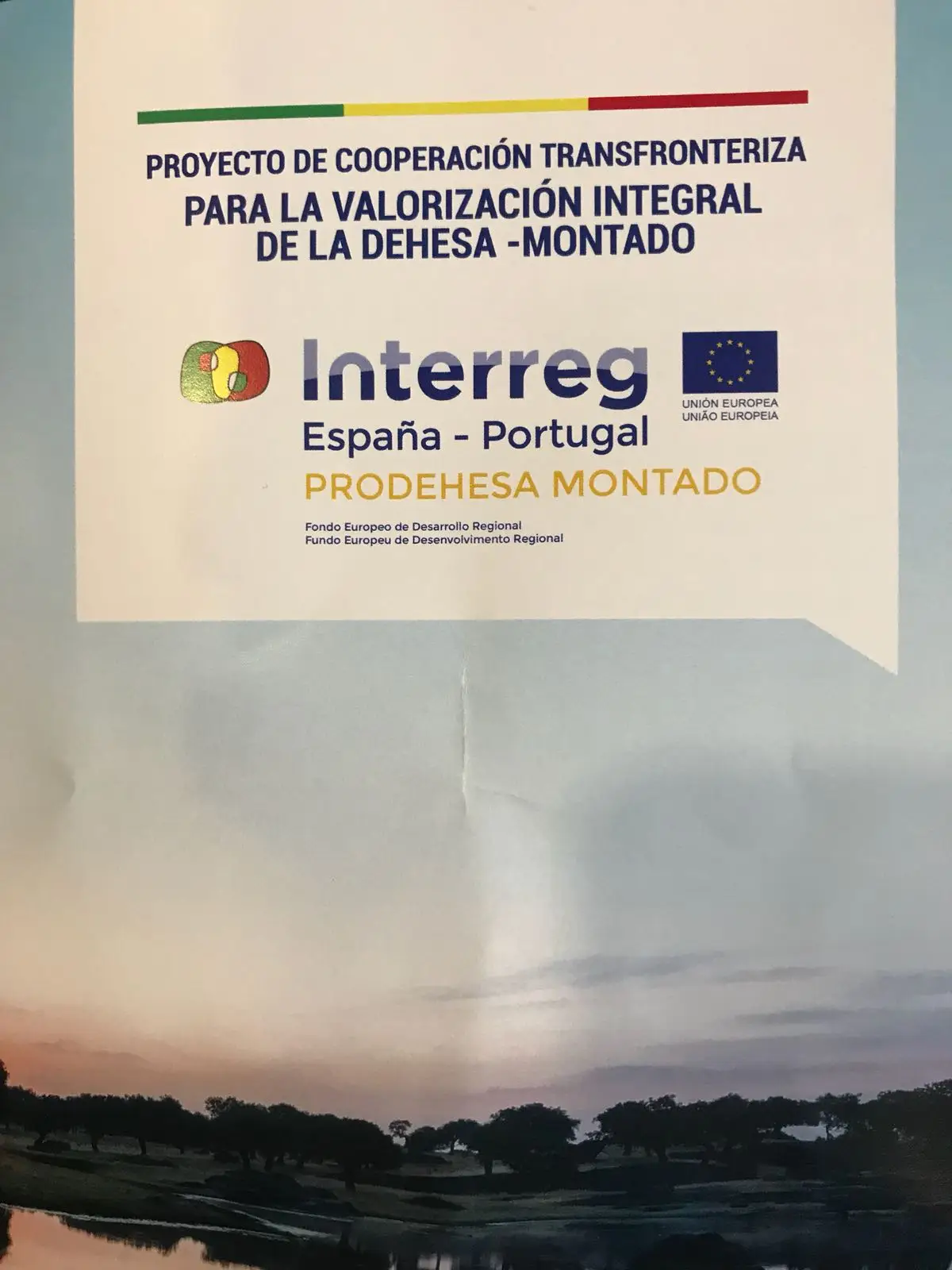 Extremadura Avante - Impulsamos las empresas de Extremadura
